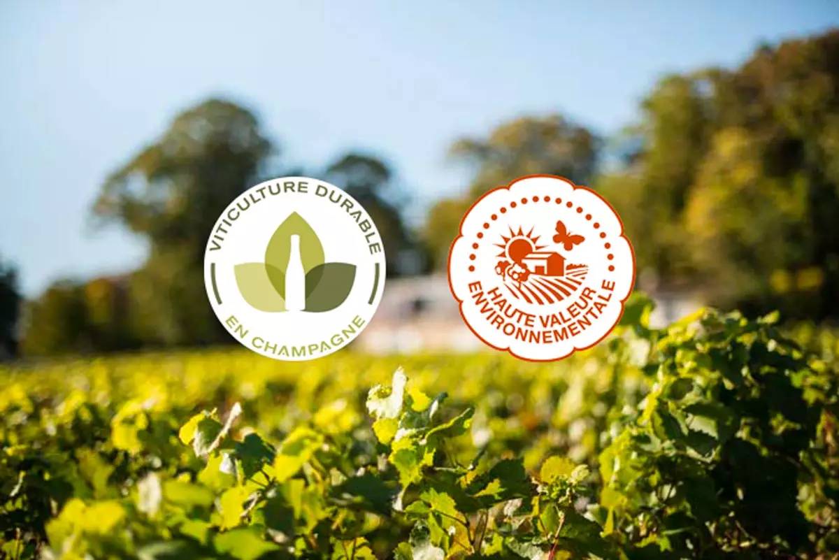 Certifications HVE et viticulture durable en Champagne